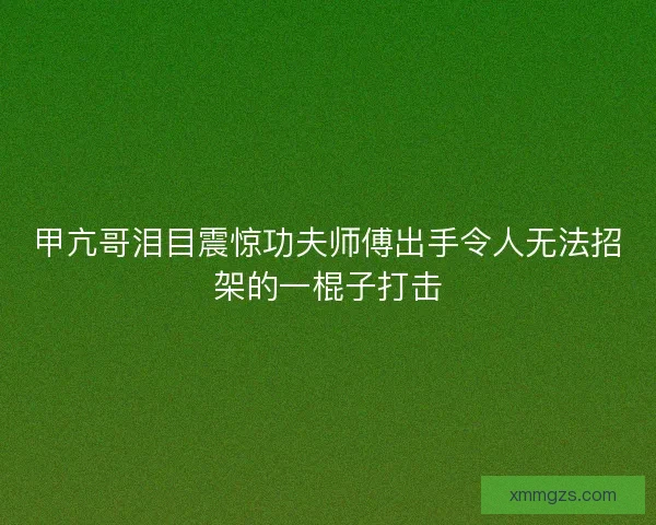 甲亢哥泪目震惊功夫师傅出手令人无法招架的一棍子打击